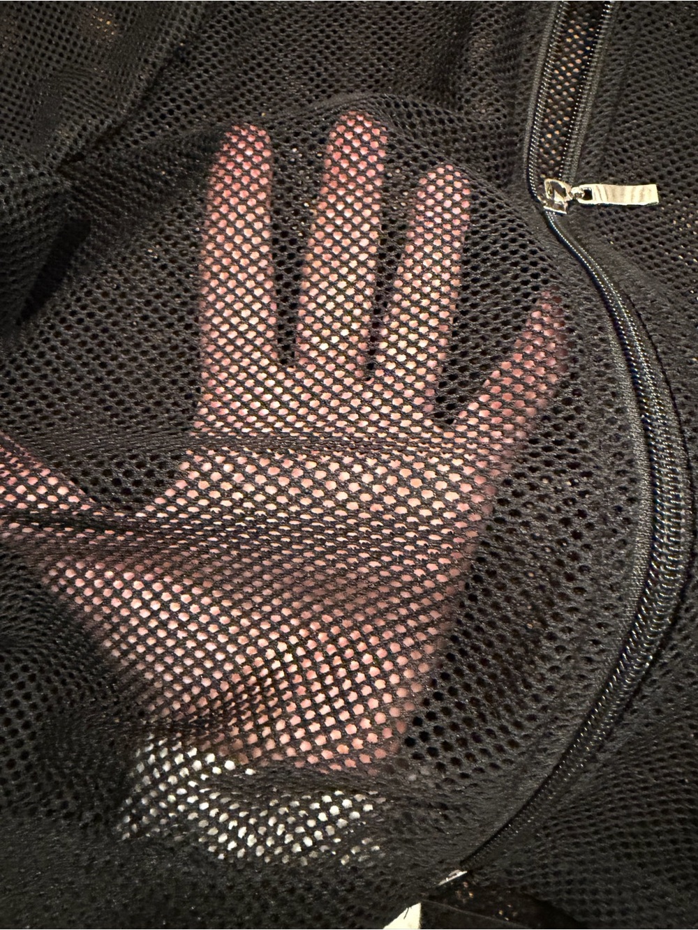 Windsor Black Mesh Zip-Front Cropped Jacket - Picture 3 of 6